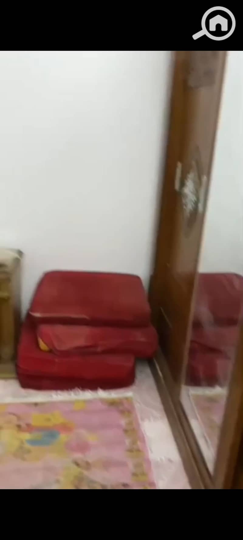 17 1000533797. jpg