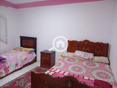 2 Bedroom Flat for Rent in Nakheel, Alexandria - 11065. jpg 2 Bedroom Flat for Rent in Nakheel, Alexandria - 11065. jpg