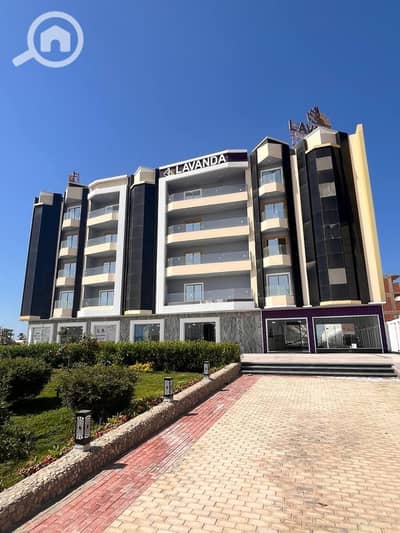 1 Bedroom Chalet for Rent in Hurghada, Red Sea - 2. jpg 1 Bedroom Chalet for Rent in Hurghada, Red Sea - 2. jpg