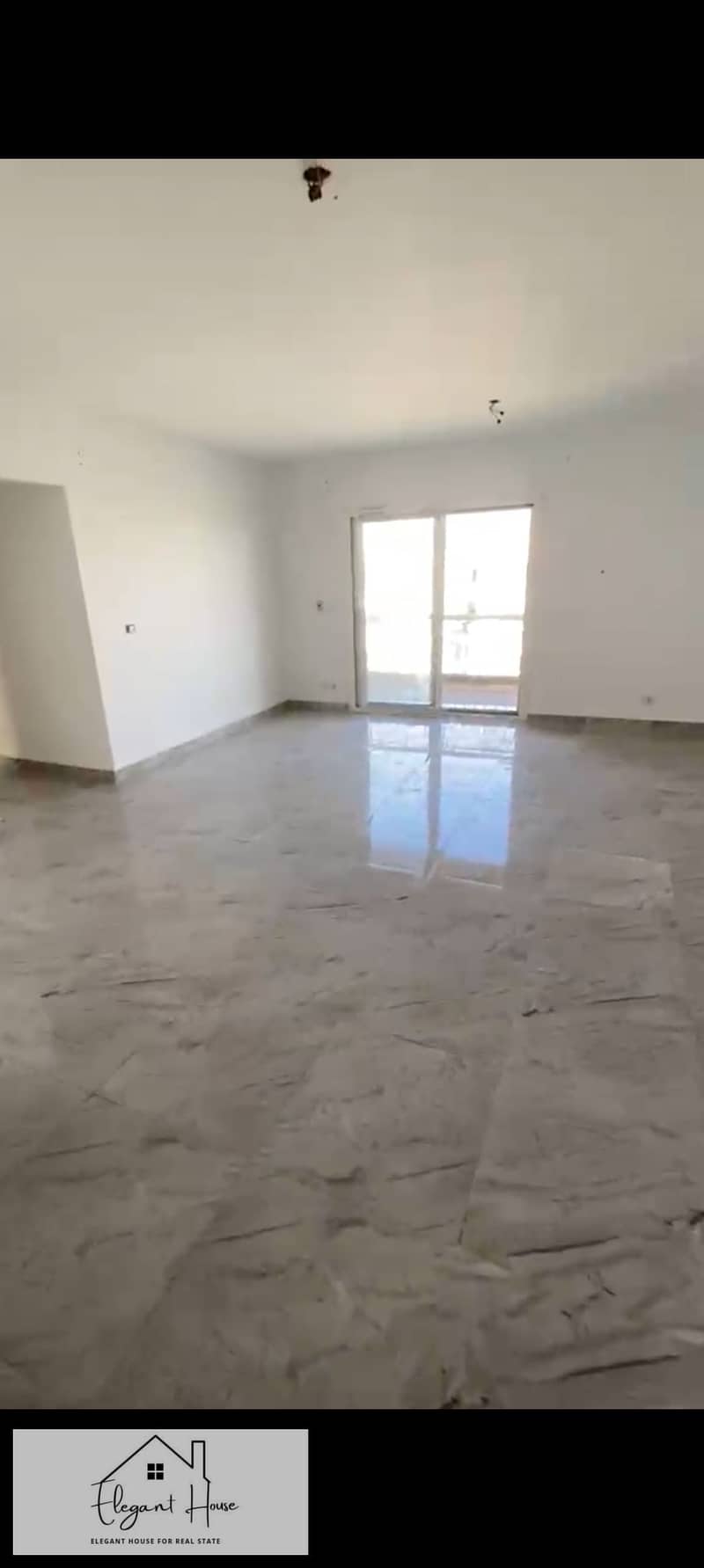 4 491365. jpg