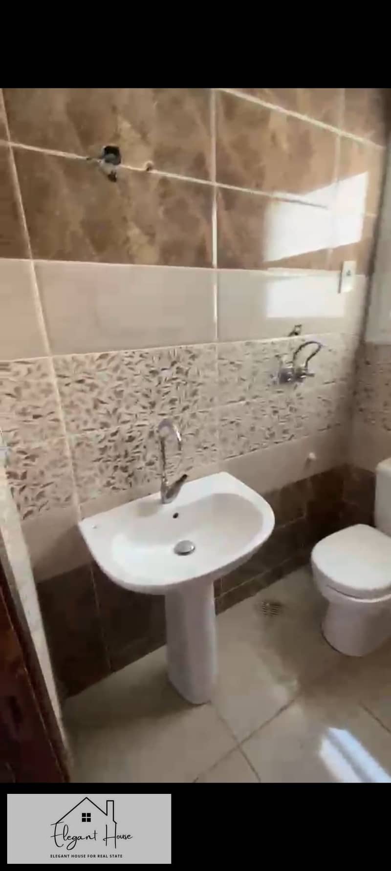 5 491366. jpg