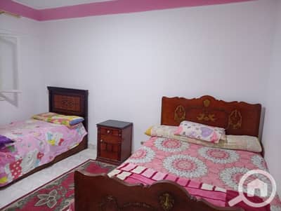 2 Bedroom Apartment for Rent in Nakheel, Alexandria - 11065. jpg