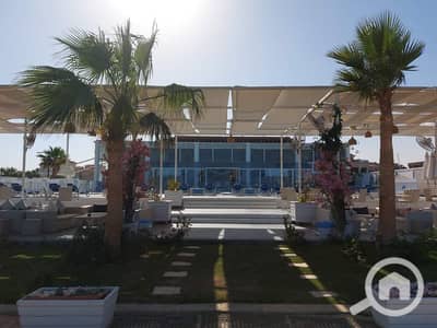 1 Bedroom Chalet for Rent in Hurghada, Red Sea - 472198134_552525597780965_5974840094713816791_n. jpg 1 Bedroom Chalet for Rent in Hurghada, Red Sea - 472198134_552525597780965_5974840094713816791_n. jpg