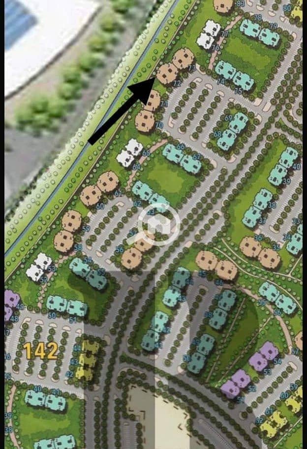 2 55981. jpg