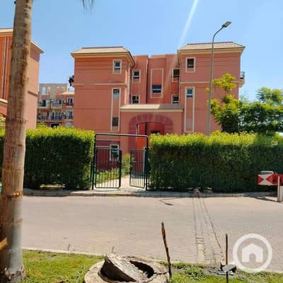 فلیٹ 2 غرفة نوم للايجار في الشيخ زايد، الجيزة - 1000260676. jpg فلیٹ 2 غرفة نوم للايجار في الشيخ زايد، الجيزة - 1000260676. jpg