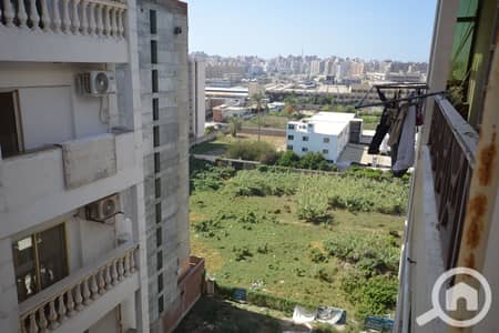 3 Bedroom Flat for Rent in Smoha, Alexandria - DSC_0148. JPG