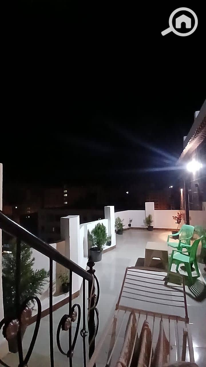 5 52074. jpg