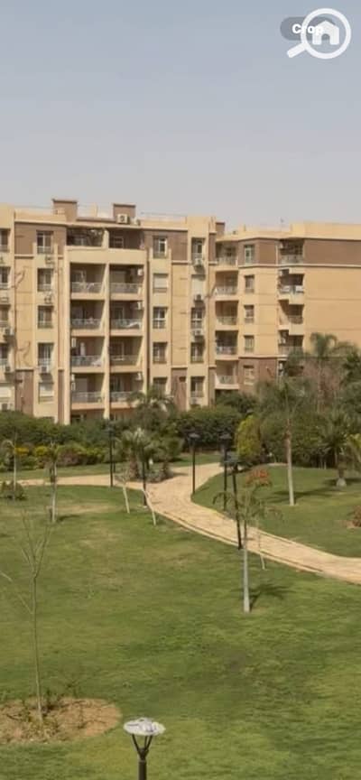 2 Bedroom Apartment for Rent in Madinaty, Cairo - IMG_8040. png 2 Bedroom Apartment for Rent in Madinaty, Cairo - IMG_8040. png