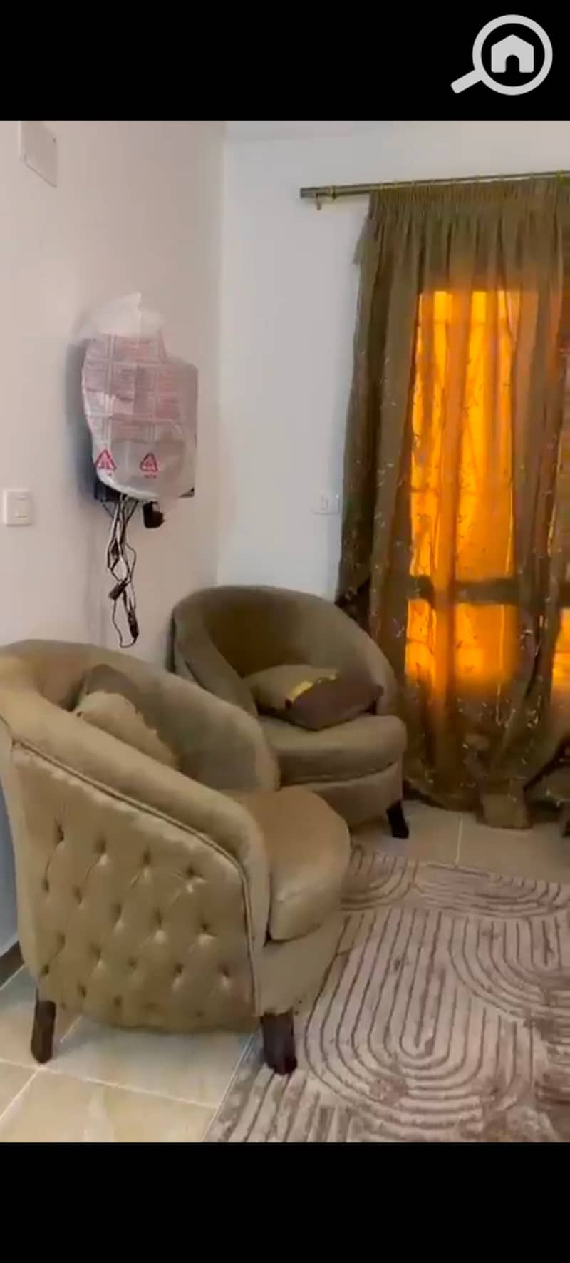 3 1000915955. jpg