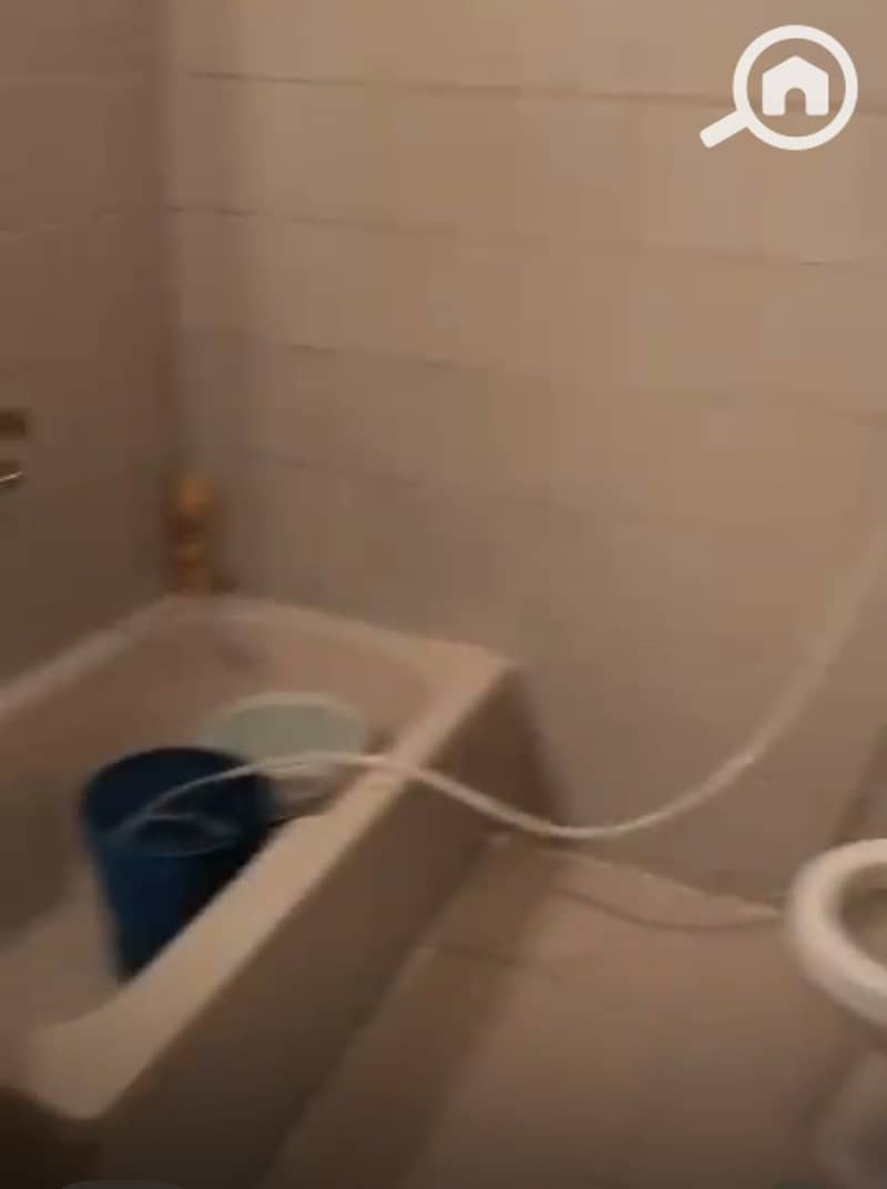 8 125195. jpg