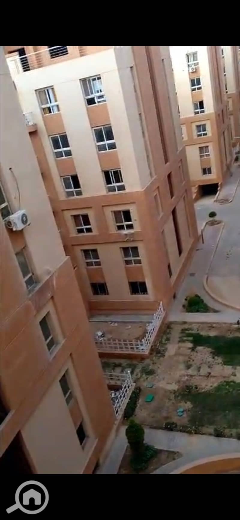 7 1011484. jpg
