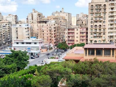 3 Bedroom Flat for Sale in Roushdy, Alexandria - WhatsApp Image 2026-09-30 at 12.12. 57 PM. jpg 3 Bedroom Flat for Sale in Roushdy, Alexandria - WhatsApp Image 2026-09-30 at 12.12. 57 PM. jpg