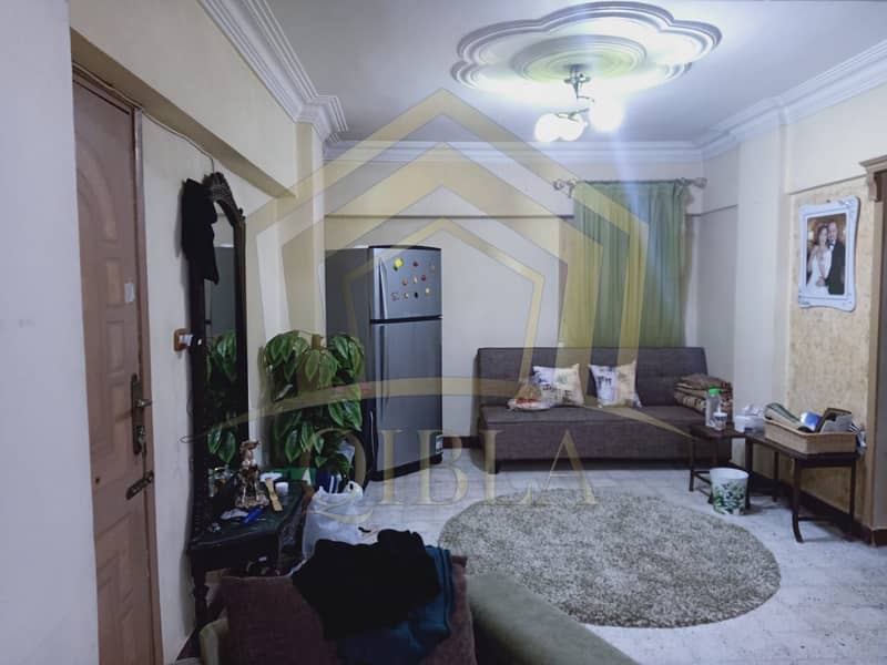2 shqa-ardy-70m-b-1.4-million-sheikh-zayed. jpg. jpeg
