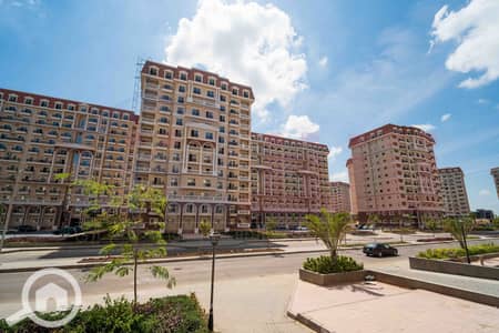 3 Bedroom Flat for Sale in Moharam Bik, Alexandria - DSC06091. jpg 3 Bedroom Flat for Sale in Moharam Bik, Alexandria - DSC06091. jpg