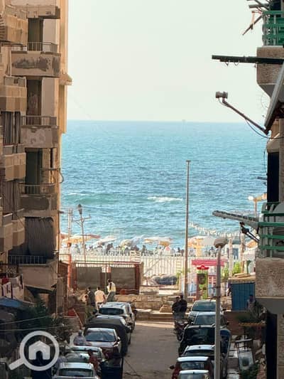 شقة 2 غرفة نوم للبيع في النخيل، الإسكندرية - 1000721028. jpg