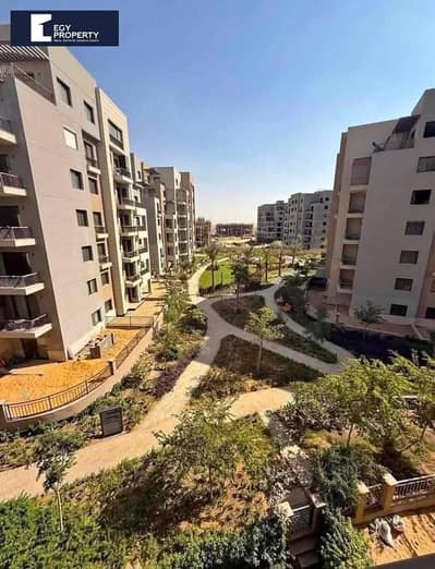 2 Bedroom Apartment for Sale in New Cairo, Cairo - _files_798038973_4489756114621348_3932641015155989485_n. jpg 2 Bedroom Apartment for Sale in New Cairo, Cairo - _files_798038973_4489756114621348_3932641015155989485_n. jpg