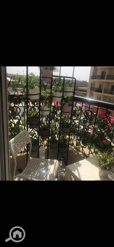 2 Bedroom Apartment for Sale in New Cairo, Cairo - IMG-20260928-WA0088. jpg 2 Bedroom Apartment for Sale in New Cairo, Cairo - IMG-20260928-WA0088. jpg