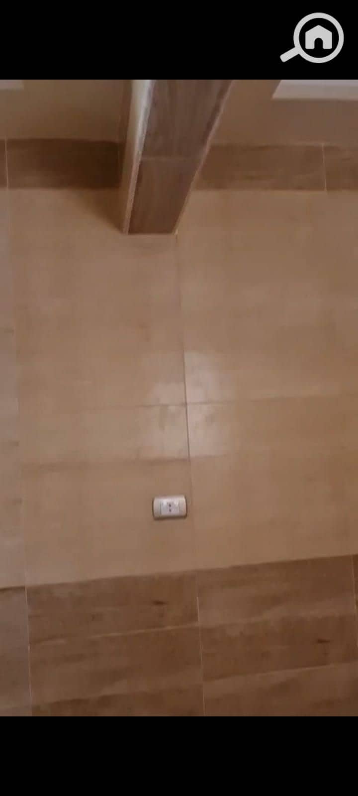 3 38630. jpg