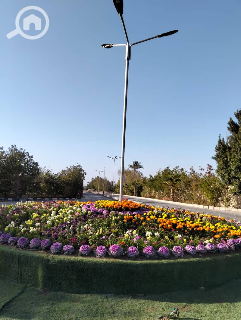 7 60496. jpg
