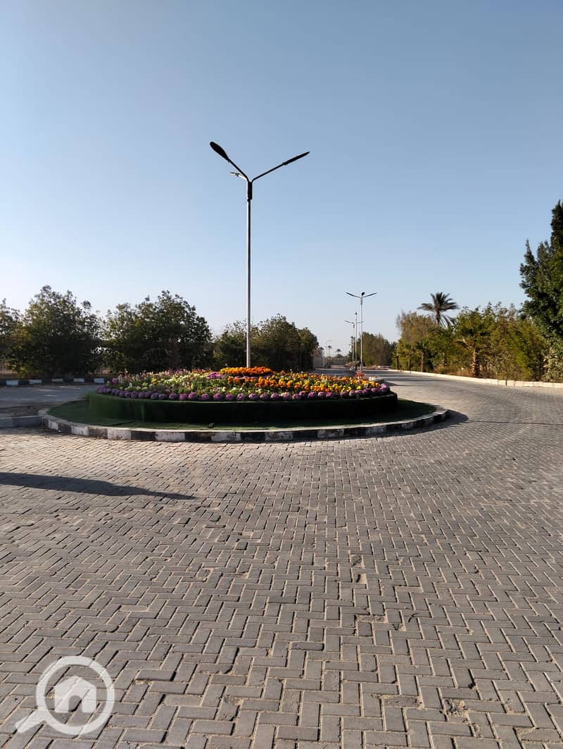 9 60433. jpg