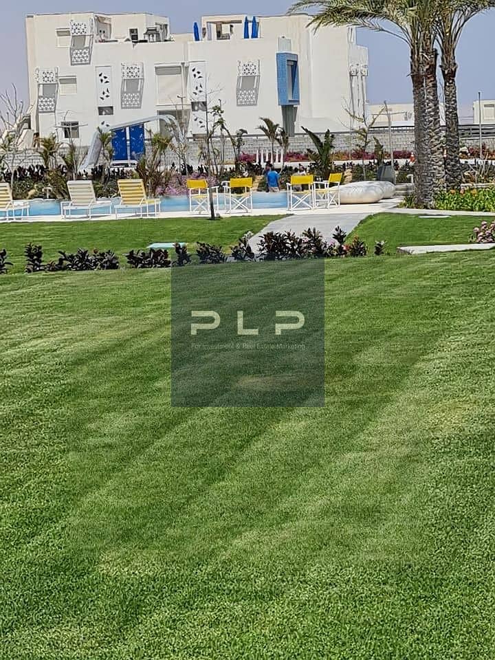 10 6. jpg
