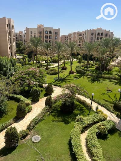 2 Bedroom Apartment for Sale in New Cairo, Cairo - 1001120623. jpg 2 Bedroom Apartment for Sale in New Cairo, Cairo - 1001120623. jpg
