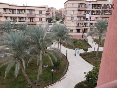 3 Bedroom Flat for Rent in New Cairo, Cairo - WhatsApp Image 2026-10-01 at 1.00. 40 PM (3). jpeg 3 Bedroom Flat for Rent in New Cairo, Cairo - WhatsApp Image 2026-10-01 at 1.00. 40 PM (3). jpeg