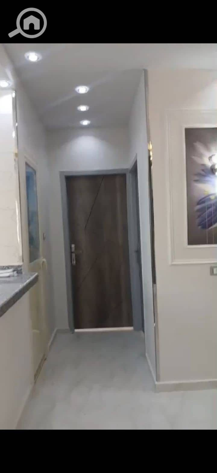 4 215228. jpg