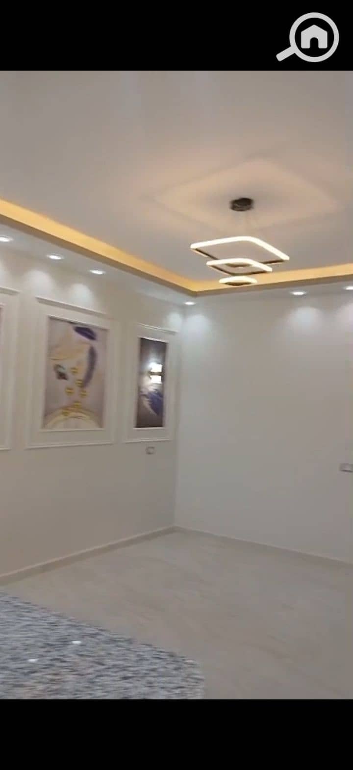 8 215241. jpg