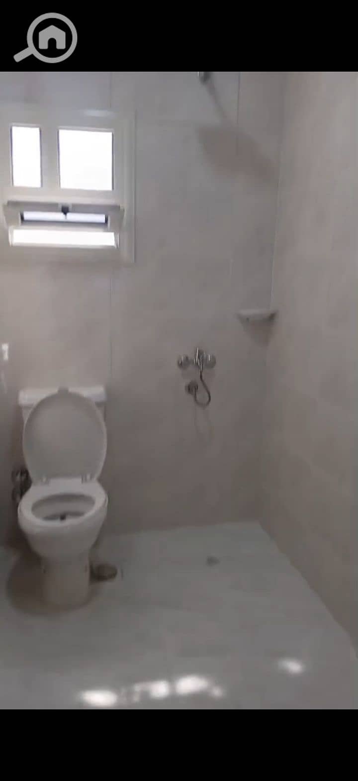 26 215244. jpg