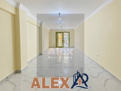 مکتب للايجار في سابا باشا، الإسكندرية - WhatsApp Image 2026-10-01 at 4.02. 39 PM. jpeg مکتب للايجار في سابا باشا، الإسكندرية - WhatsApp Image 2026-10-01 at 4.02. 39 PM. jpeg