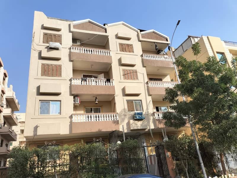 11 ونطجمو. jpeg