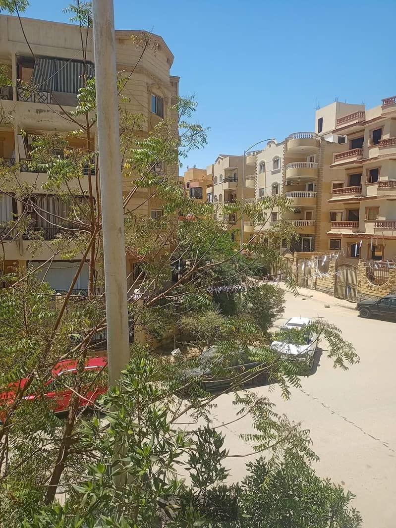 12 ةوطجون. jpeg
