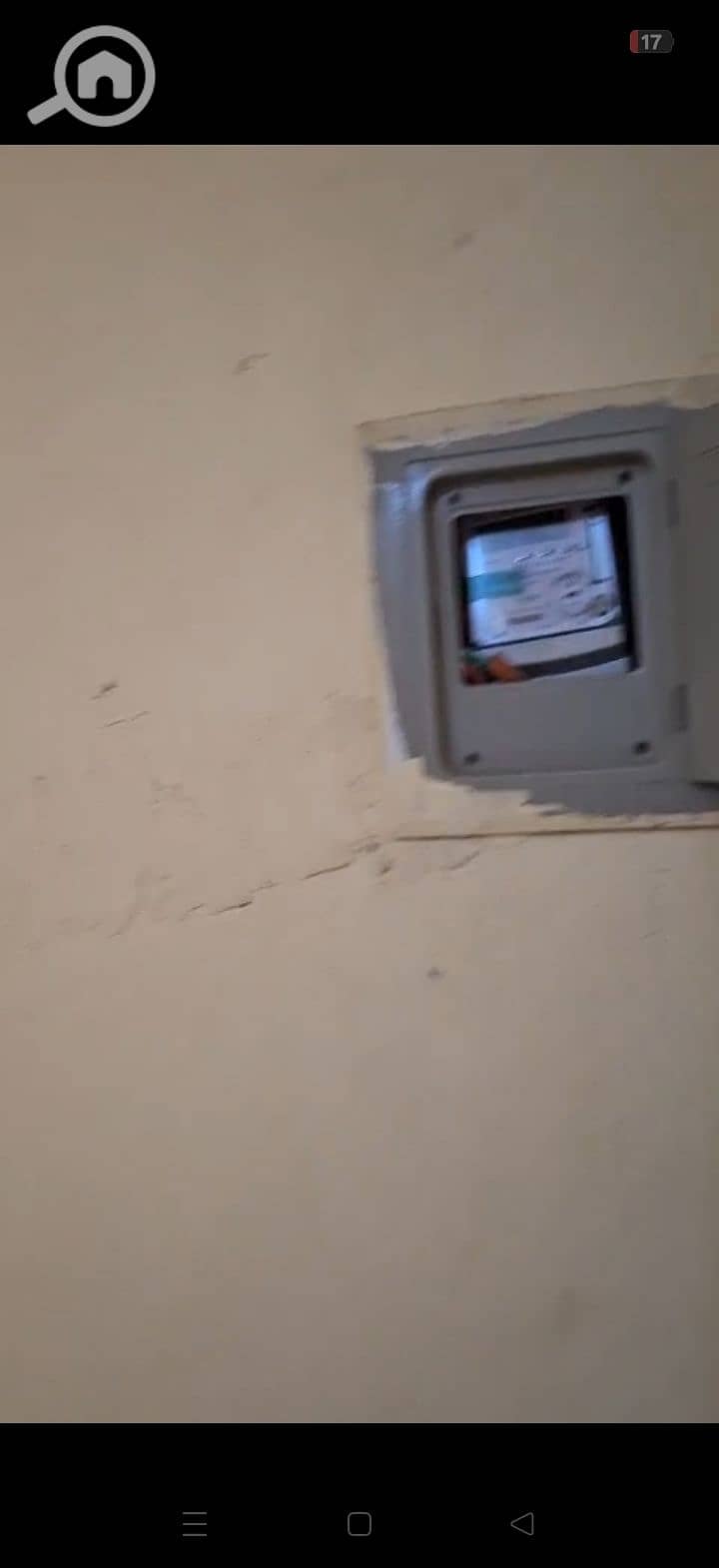 6 216521. jpg