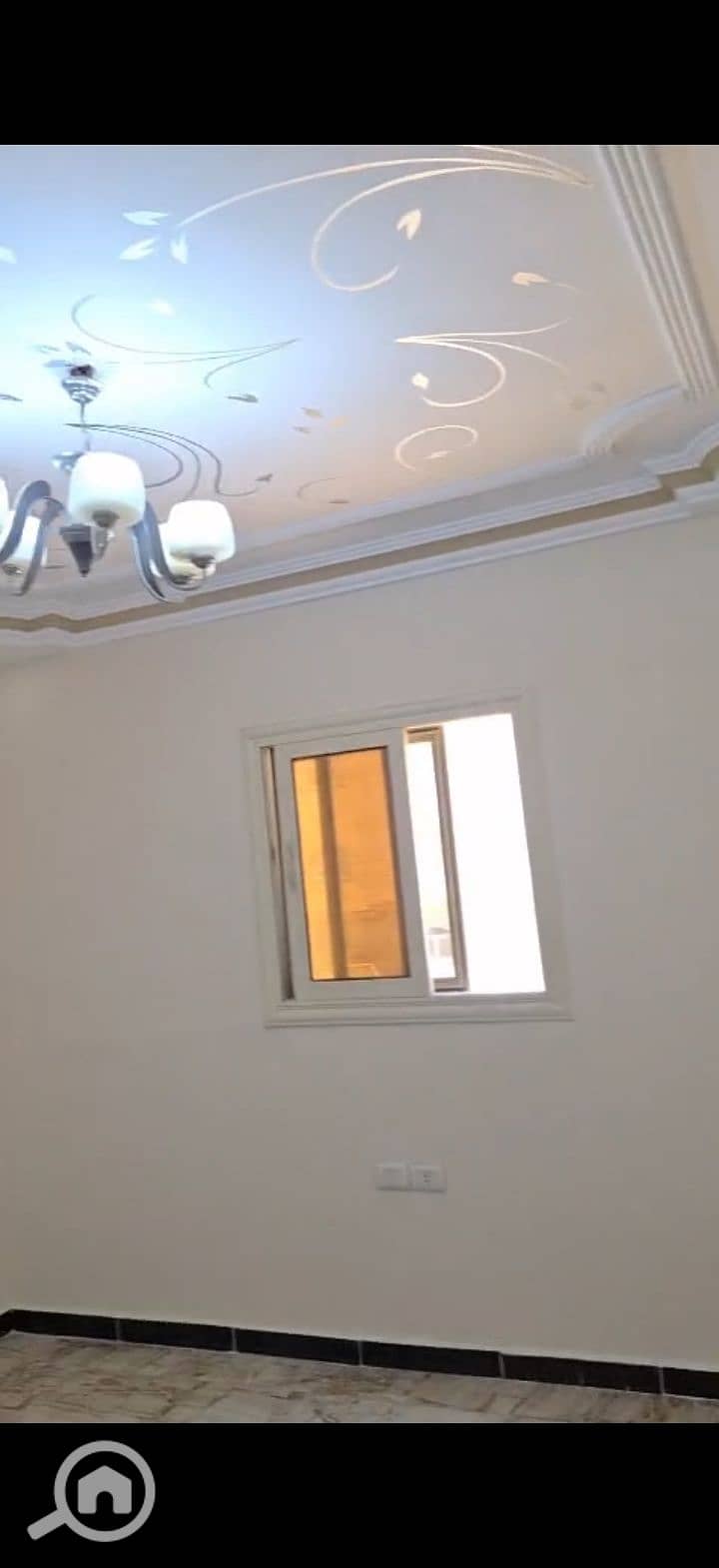 7 216518. jpg