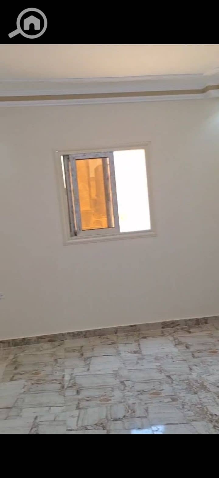11 216525. jpg