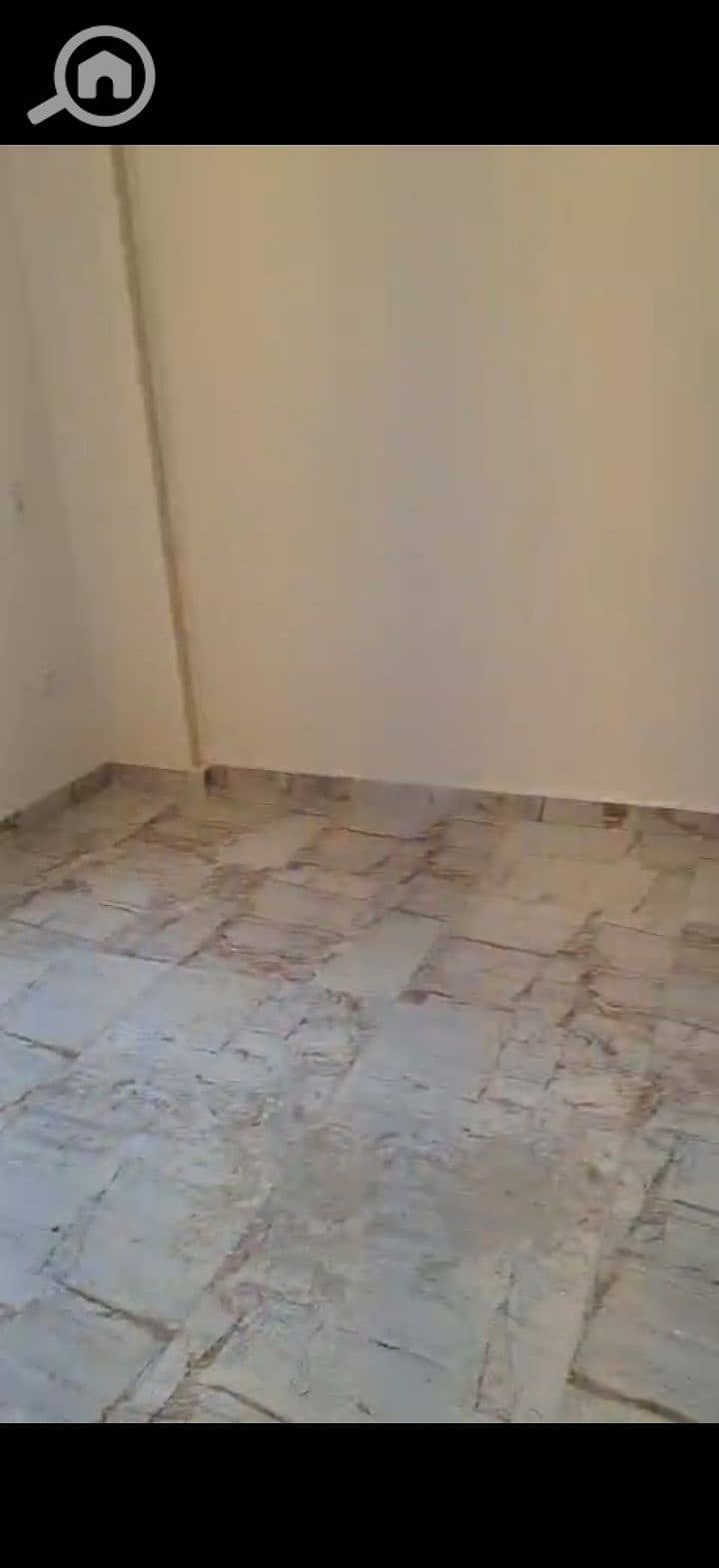 16 216559. jpg