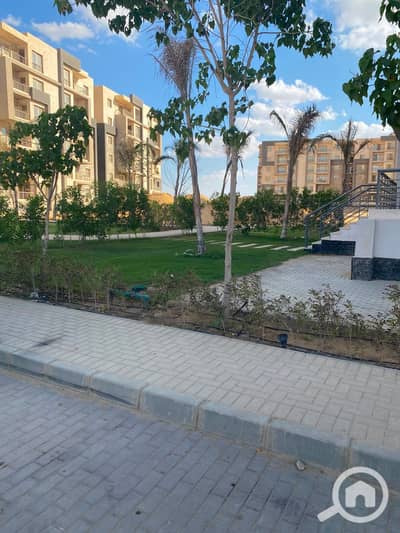 3 Bedroom Flat for Sale in Sheikh Zayed, Giza - WhatsApp Image 2026-10-01 at 3.17. 08 PM. jpeg 3 Bedroom Flat for Sale in Sheikh Zayed, Giza - WhatsApp Image 2026-10-01 at 3.17. 08 PM. jpeg