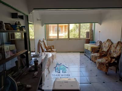 3 Bedroom Apartment for Sale in Sheikh Zayed, Giza - WhatsApp Image 2026-10-01 at 7.48. 20 AM. jpeg 3 Bedroom Apartment for Sale in Sheikh Zayed, Giza - WhatsApp Image 2026-10-01 at 7.48. 20 AM. jpeg