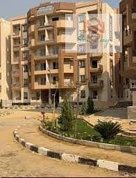 5 images (3). jpg