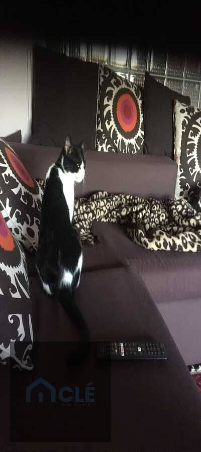 6 WhatsApp Image 2026-09-29 at 14.24. 39 (6). jpeg