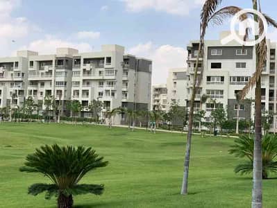 شقة 3 غرف نوم للبيع في مدينتي، القاهرة - alessamy_alessamy_alessamy_appartment-at-b10-for-sale2_29732_38178_38214. jpg شقة 3 غرف نوم للبيع في مدينتي، القاهرة - alessamy_alessamy_alessamy_appartment-at-b10-for-sale2_29732_38178_38214. jpg
