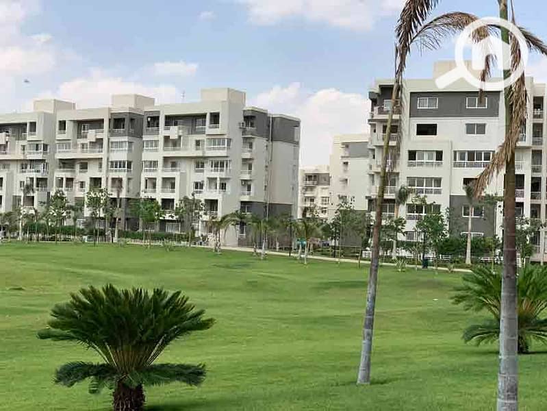 alessamy_alessamy_alessamy_appartment-at-b10-for-sale2_29732_38178_38214. jpg alessamy_alessamy_alessamy_appartment-at-b10-for-sale2_29732_38178_38214. jpg