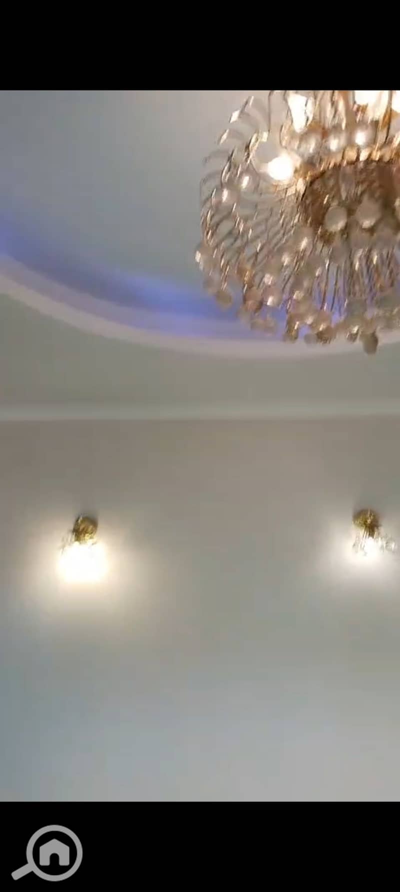 17 1000487053. jpg