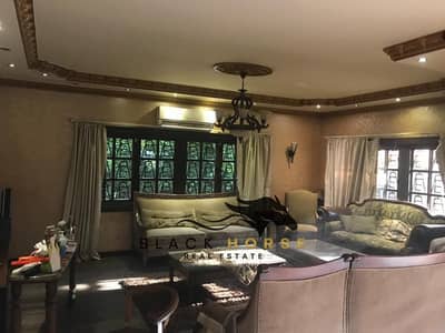 7 Bedroom Villa for Rent in New Cairo, Cairo - 6b491af8-1308-449b-8618-4ab6c1eece34. jpeg