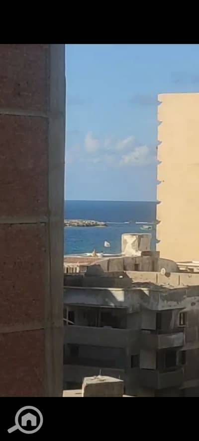شقة 2 غرفة نوم للبيع في عجمي، الإسكندرية - 1000962291. jpg شقة 2 غرفة نوم للبيع في عجمي، الإسكندرية - 1000962291. jpg