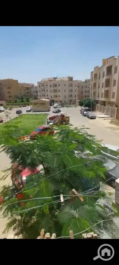 2 Bedroom Flat for Rent in New Cairo, Cairo - 1000835049. png
