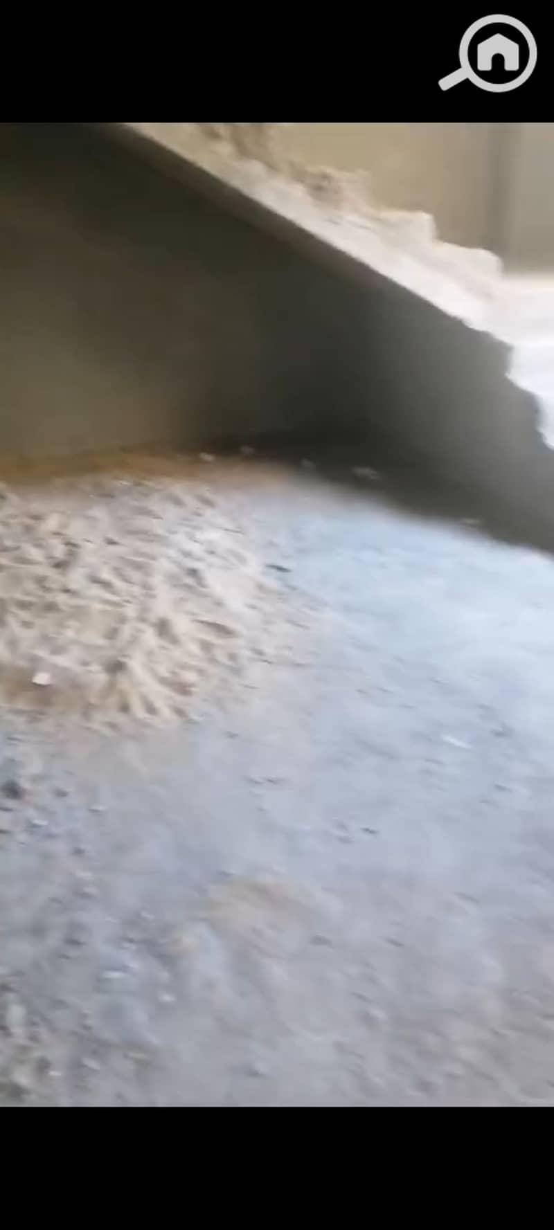 5 1001362150. jpg