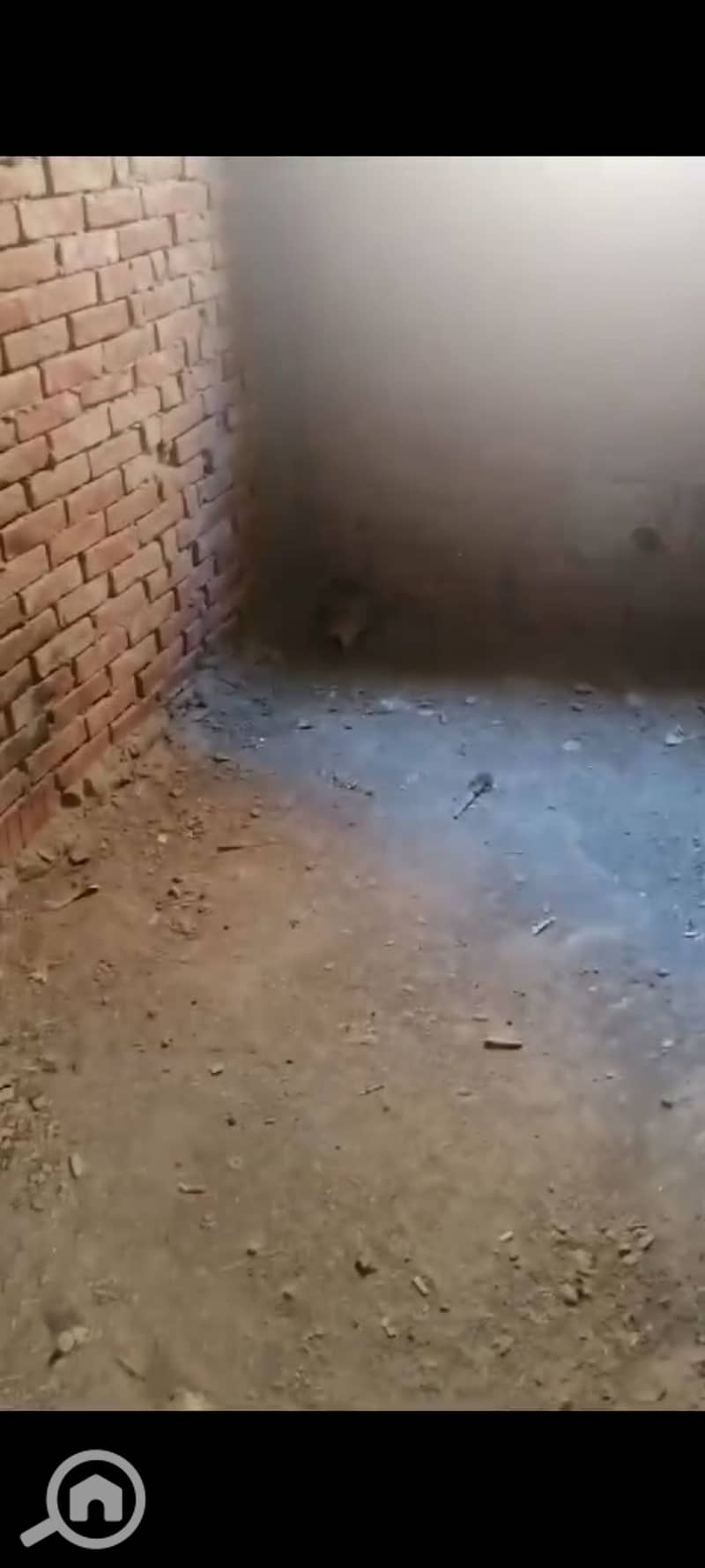 7 1001362148. jpg