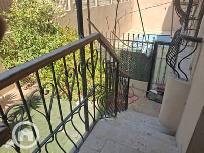 3 Bedroom Apartment for Rent in New Cairo, Cairo - 128342. jpg 3 Bedroom Apartment for Rent in New Cairo, Cairo - 128342. jpg
